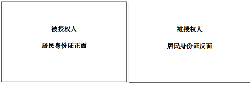20260810113700_17780.png