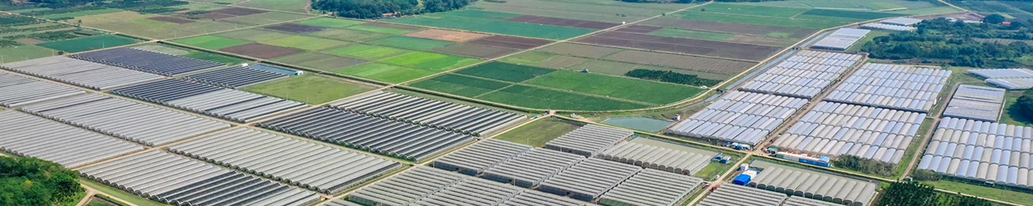 香港二四六论坛308